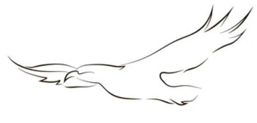 Orel logo kreslené